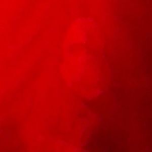 Meet your Posher, Miguel